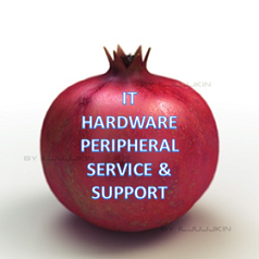 IT Hardware Service & Support
